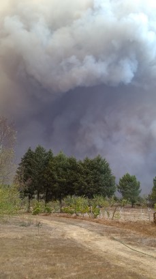 IMG_20171015_180045587